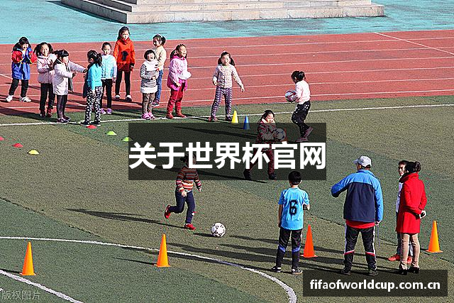 关于世界杯官网
